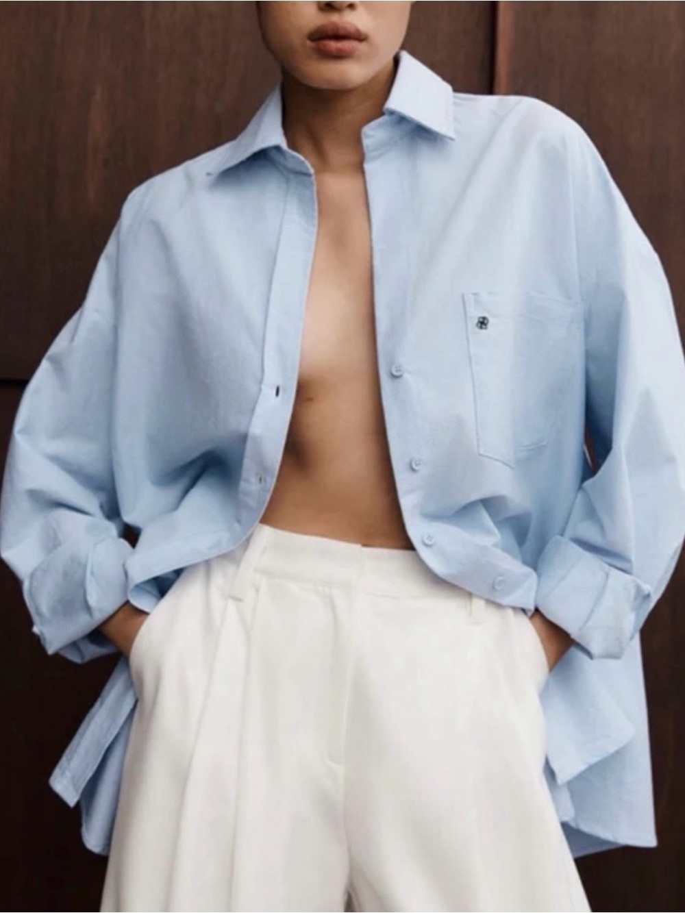 NWOT DISSH Rhea Blue Oversized Cotton Shirt